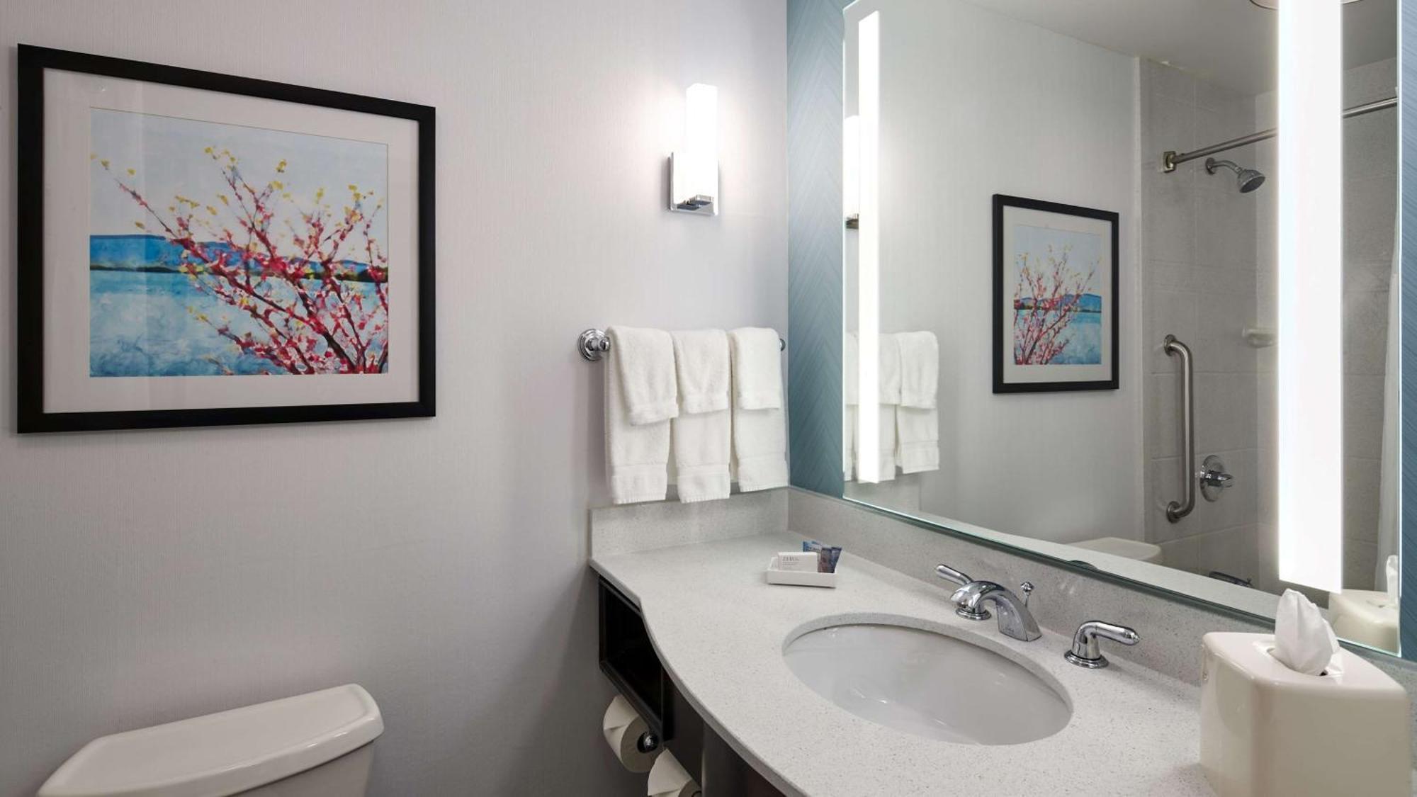 Hilton Garden Merrillville