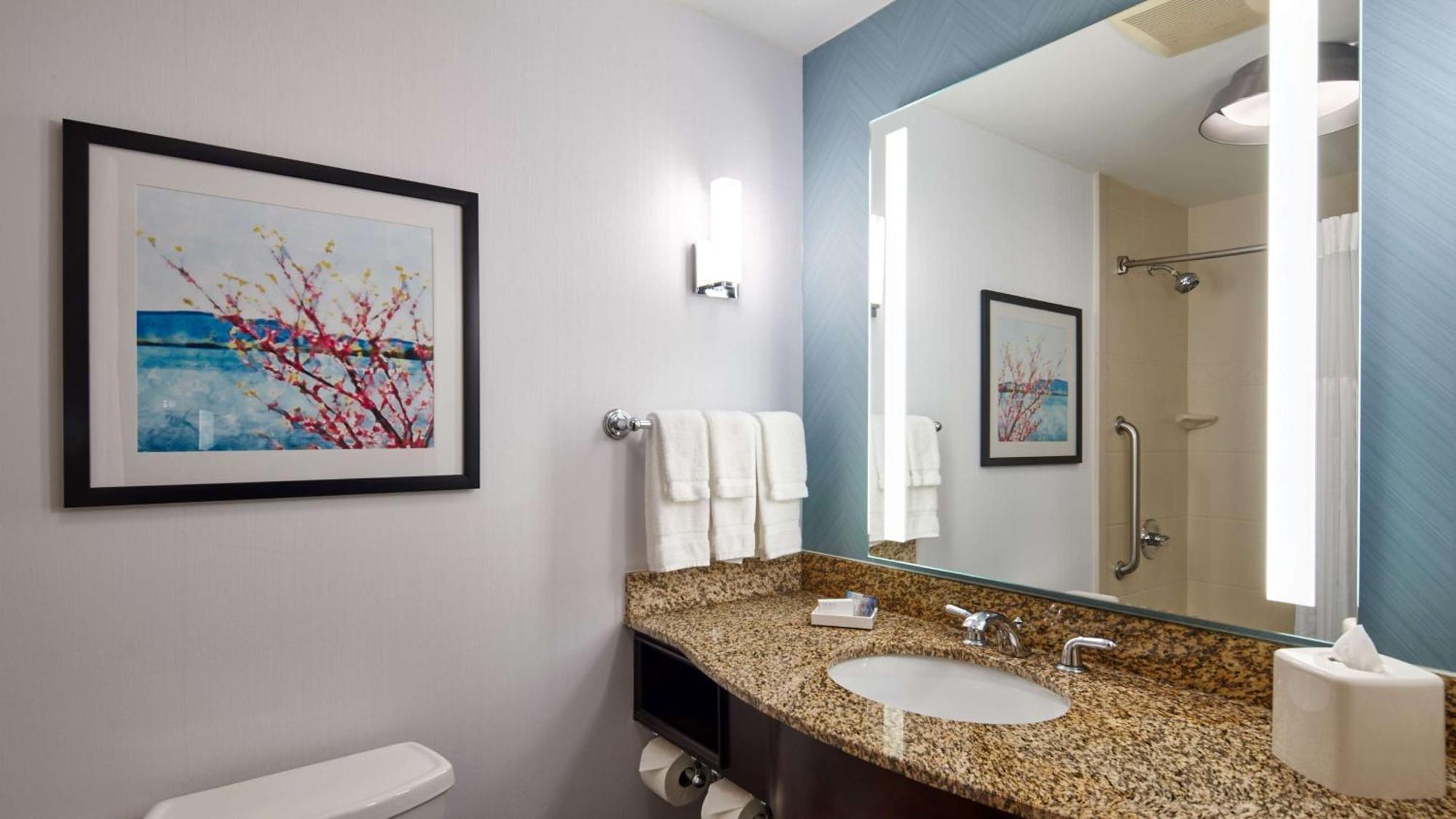 Hotel Hilton Garden Merrillville