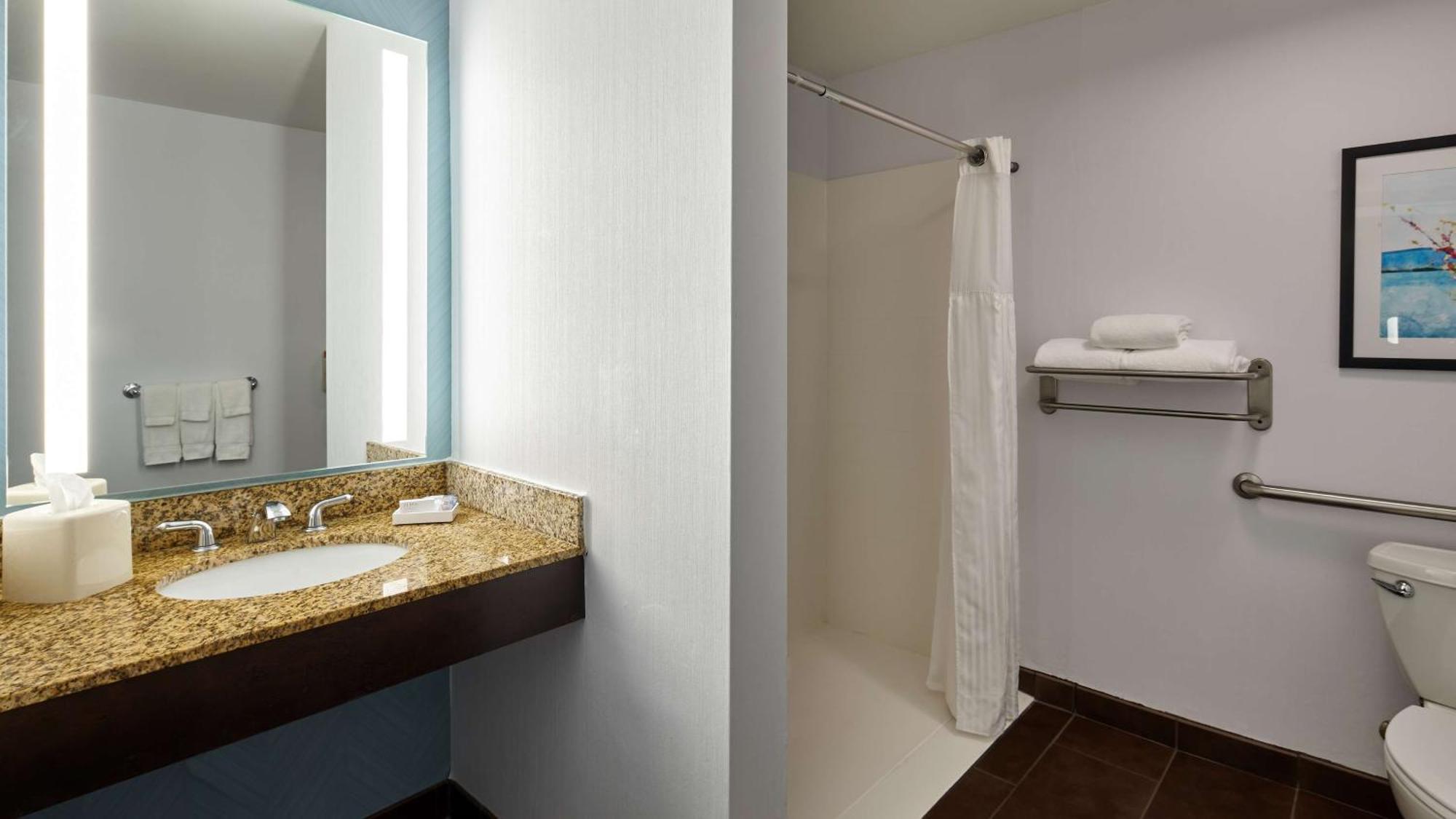 Hilton Garden Hotel Merrillville